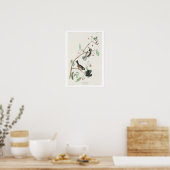 Canadese Titmouse door Audubon Poster (Keuken)