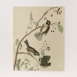 Canadese Titmouse van Audubon's Birds of America Legpuzzel