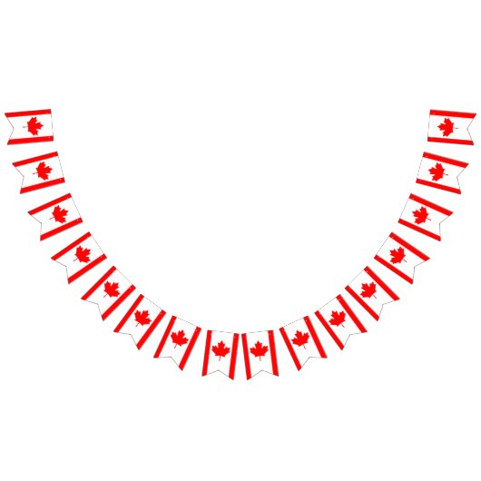 Canadese vlag banner (Alle)