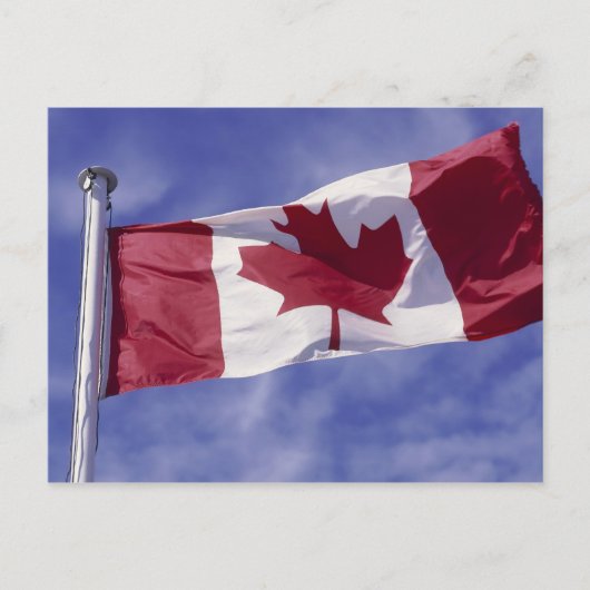 Canadese vlag briefkaart (Voorkant)
