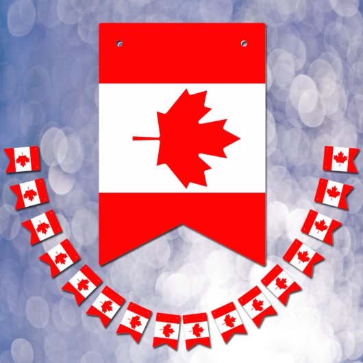 Canadese vlag & feest Canada vaandels / Bruiloften Vlaggetjes