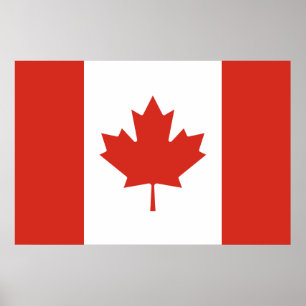 Canadese vlag (Maple Leaf) (Canada) Poster