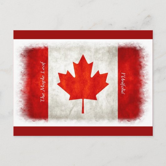 Canadese vlag Maple Leaf l'Unifolié Briefkaart (Voorkant)