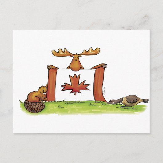 Canadese vlag met mouwen, bever en gans briefkaart (Voorkant)