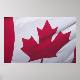Canadese vlag. poster
