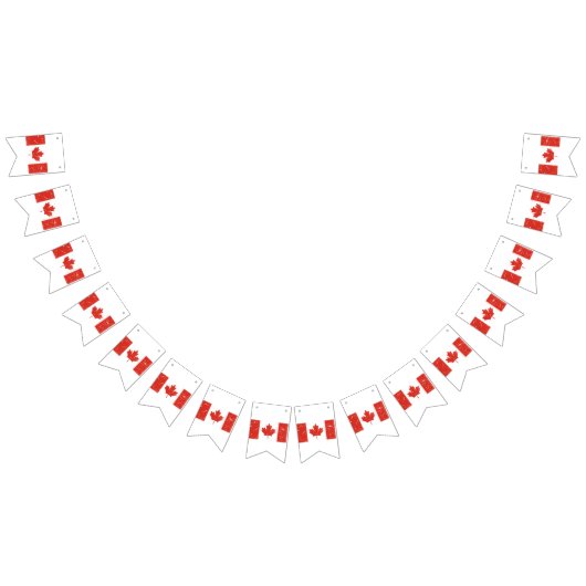 Canadese vlag vlaggetjes (Alle)