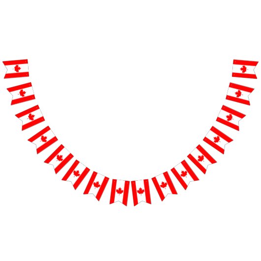 Canadese vlaggen, Canadese vlaggetjes (Alle)