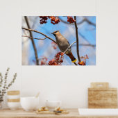 Canadese vogel, bruine bohemiaanse was poster (Keuken)