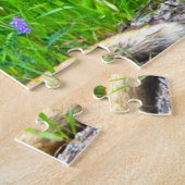Canadese Vos Legpuzzel (Zijkant)