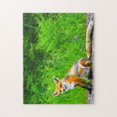 Canadese Vos Legpuzzel (Verticaal)