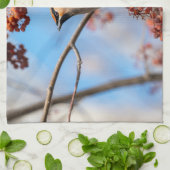 Canadese Wildlife: Bohemian Waxwing fotografie Theedoek (Gevouwen)