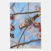 Canadese Wildlife: Bohemian Waxwing fotografie Theedoek (Verticaal)