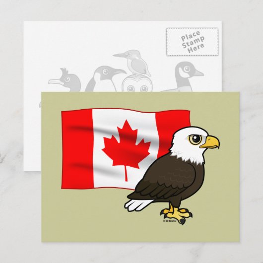 Canadian Bald Eagle Briefkaart (Voorkant / Achterkant)