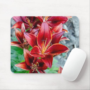 Canadian Beauty: Red Stargazer Lily Fotografie Muismat