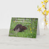 Canadian Beaver Funny Wildlife Wenskaart Kaart (Gele Bloem)