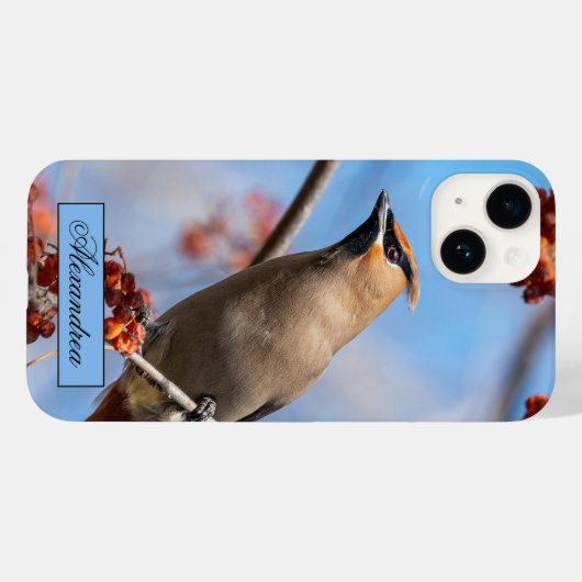 Canadian Brown Bohemian Waxing Bird Photography Case-Mate iPhone Case (Achterkant (horizontaal))