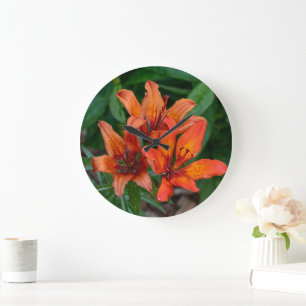 Canadian Flower Photography, Oranje dag Lily Grote Klok