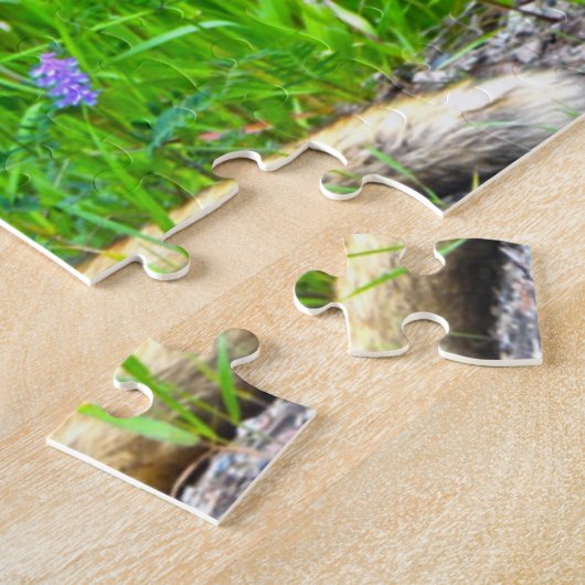 Canadian Fox Legpuzzel (Zijkant)