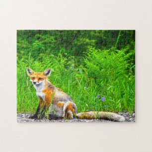 Canadian Fox Legpuzzel