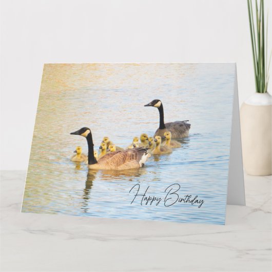 Canadian Geese Family - Verjaardag Kaart (Voorkant)