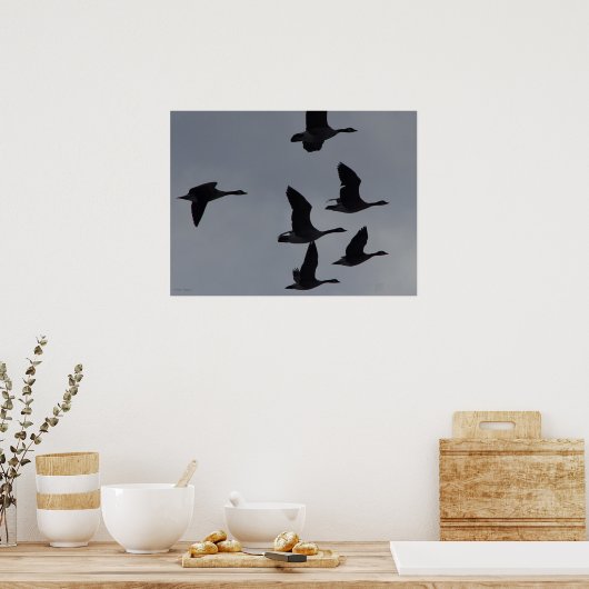 Canadian Geese in Flight Poster (Keuken)