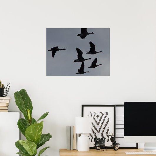 Canadian Geese in Flight Poster (Thuiskantoor)
