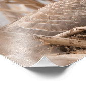 Canadian Geese Nesting Foto Afdruk (Hoek)