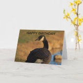 Canadian Goose Birthday Kaart (Gele Bloem)