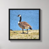 Canadian Goose Canva Wrap Print (Voorkant)