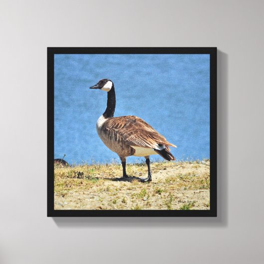 Canadian Goose Canva Wrap Print (Voorkant)