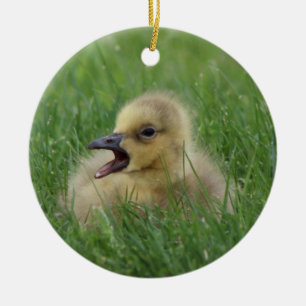 Canadian Goose Chick Keramisch Ornament