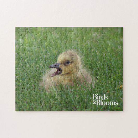 Canadian Goose Chick Legpuzzel (Horizontaal)