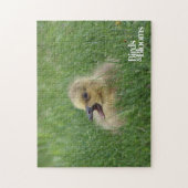 Canadian Goose Chick Legpuzzel (Verticaal)