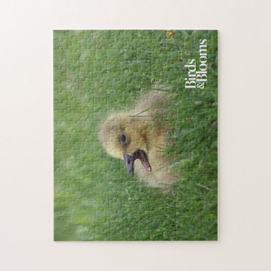 Canadian Goose Chick Legpuzzel (Verticaal)