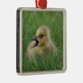 Canadian Goose Chick Metalen Ornament (Rechts)