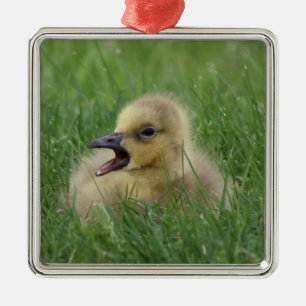 Canadian Goose Chick Metalen Ornament