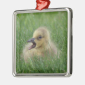 Canadian Goose Chick Metalen Ornament (Links)