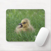 Canadian Goose Chick Muismat (Met muis)