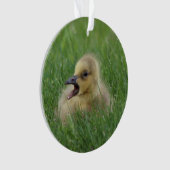 Canadian Goose Chick Ornament (voorkant)
