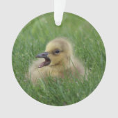 Canadian Goose Chick Ornament (voorkant)
