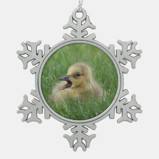 Canadian Goose Chick Tin Sneeuwvlok Ornament (Voorkant)