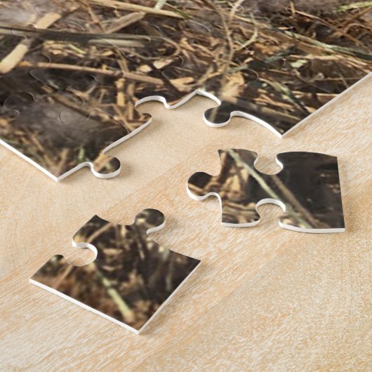 Canadian Goose Egg Nest Legpuzzel (Zijkant)