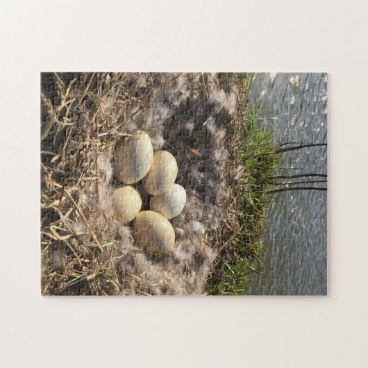 Canadian Goose Egg Nest Legpuzzel (Horizontaal)
