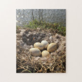 Canadian Goose Egg Nest Legpuzzel (Verticaal)
