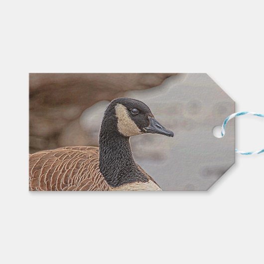 Canadian Goose Portrait Cadeaulabel (Voorkant (Horizontaal))