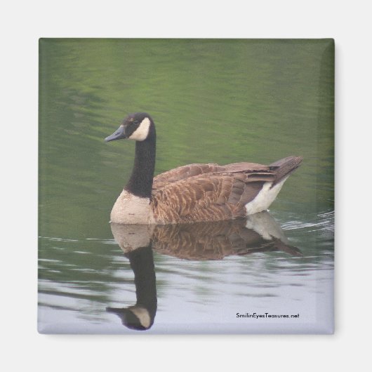 Canadian Goose Reflections Natuur fotomagneet Magneet (Voorkant)
