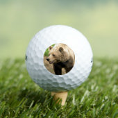 Canadian Grizzly Golfballen (Insitu Shirt)