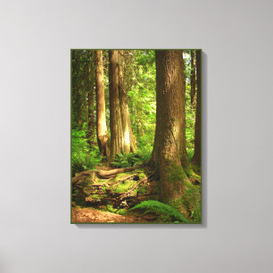 Canadian Landscape West Coast Forest Art Print