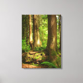 Canadian Landscape West Coast Forest Art Print (Voorkant)