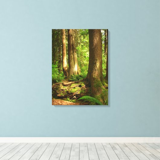 Canadian Landscape West Coast Forest Art Print (Insitu (Houten vloer))